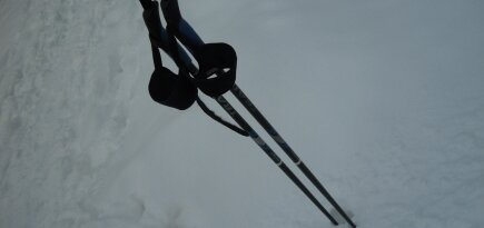 Nordic Walking. Flickr: Michael Panse