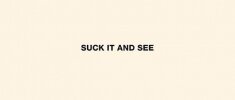 Arctic Monkeys - Suck It And See Arctic Monkeys - Suck It And See